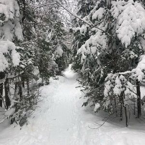 Meet your Posher, Cristina